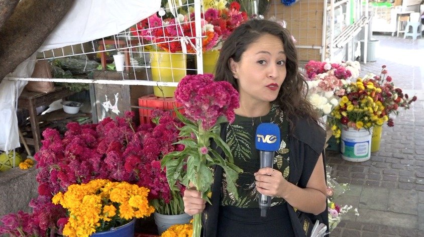 Se aproxima el día de muertos y con ello la ciudad se envuelve de los  colores vivos de la flor de Cempasúchil. | TV GUANAJUATO